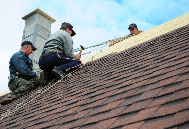 Best Roof Waterproofing Services  in Brewster, OH
